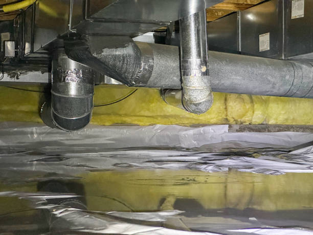 Best Sewage cleanup and water damage restoration  in Clton, IN